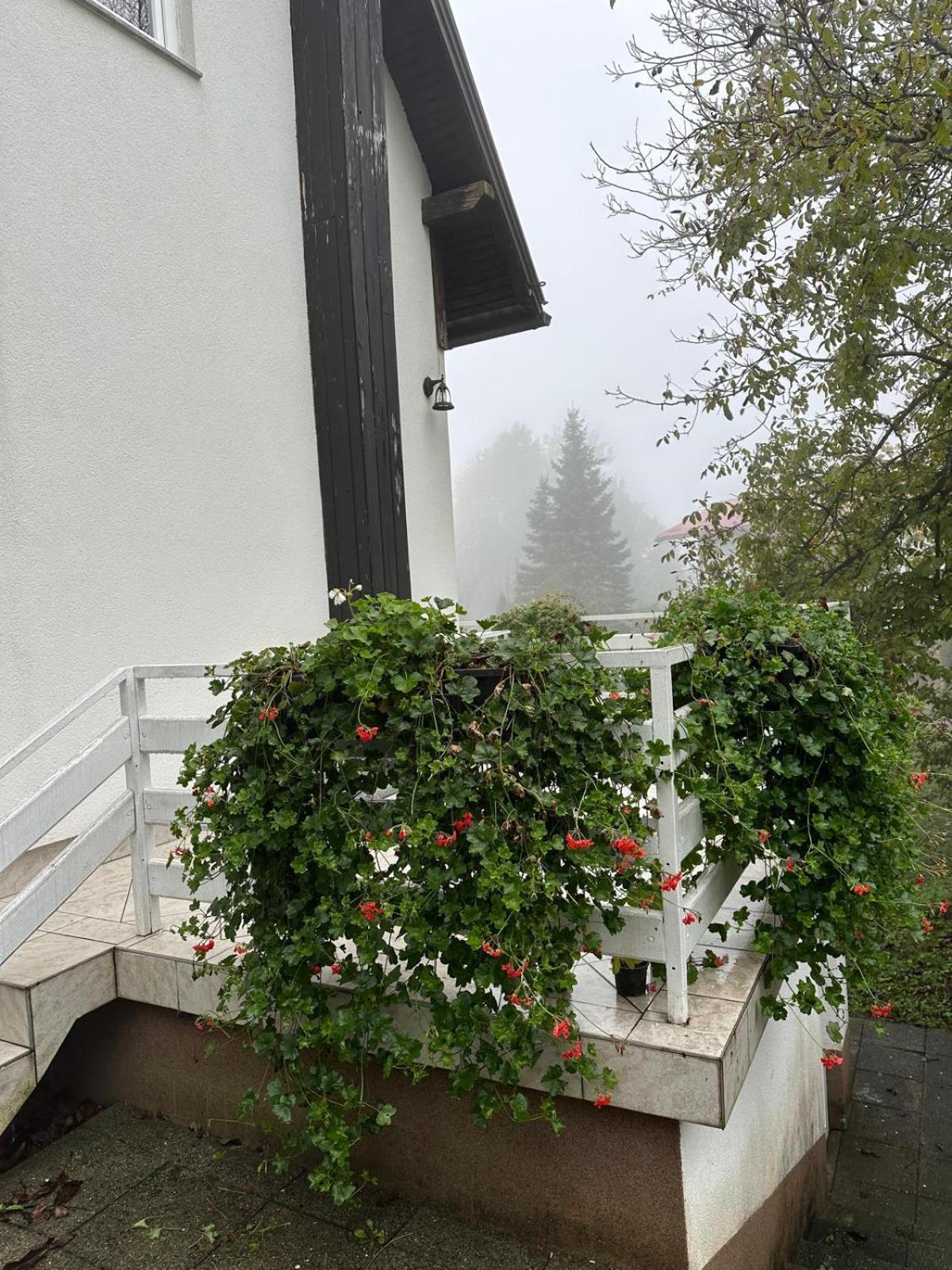 Guesthouse Nikola Plitvička Jezera Exterior foto
